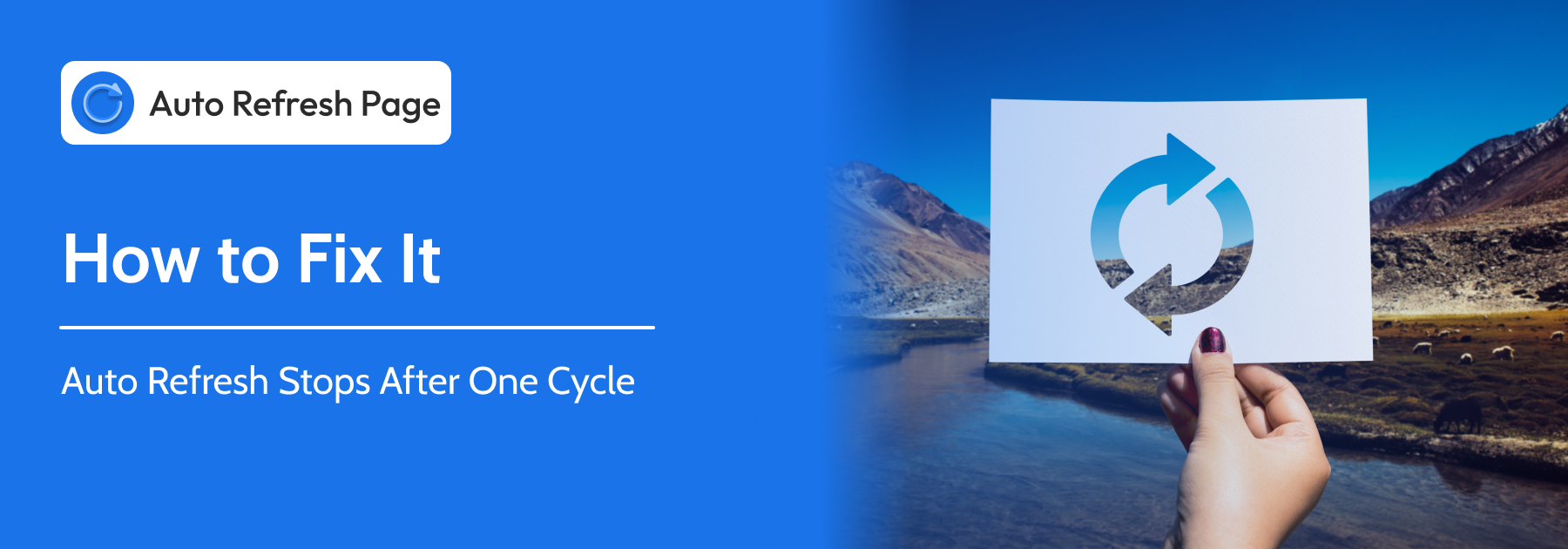 Auto Refresh Stops After One Cycle