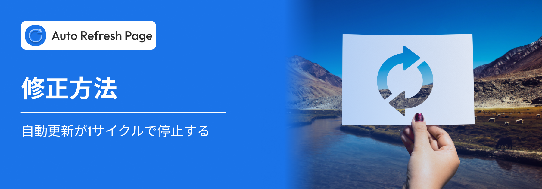 自動更新は 1 サイクル後に停止します